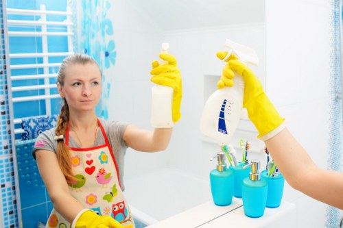 Professional oven cleaning in Putney with sparkling interior
