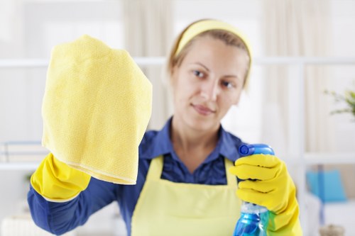 Rug cleaning in a bright living room with a professional care focus
