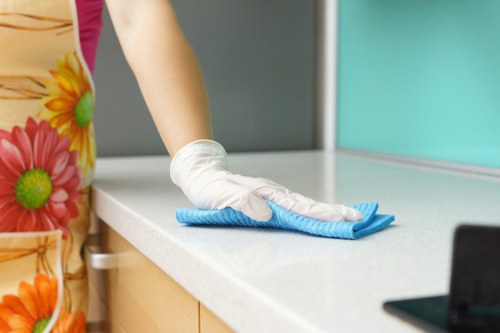 Professional one off cleaning in a modern home living room