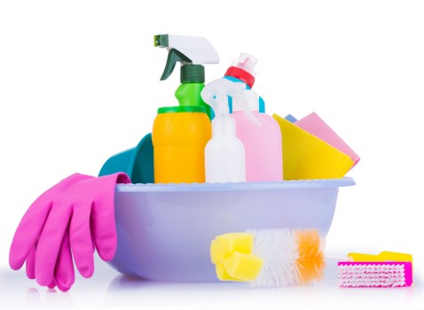 Professional carpet cleaning in a bright living room