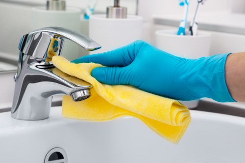 Professional cleaning supplies used for domestic cleaning services